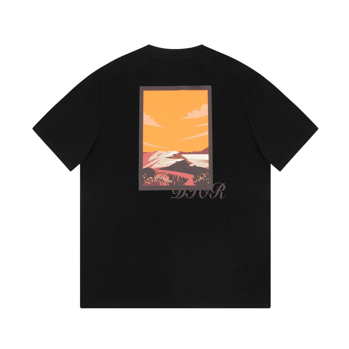 「#2689」Dior 23FW spring/summer classic T-shirt