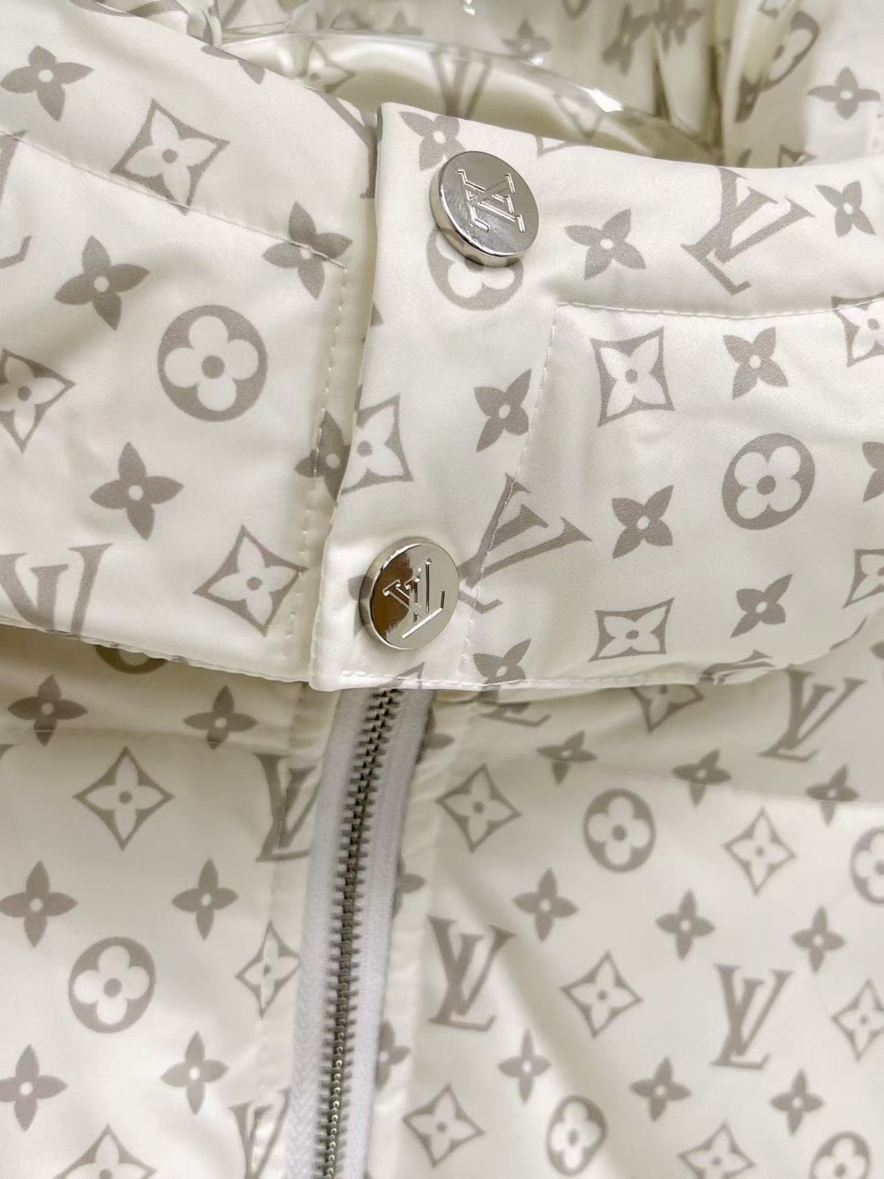 「#4121」Louis Vuitton 24ss new winter down jacket